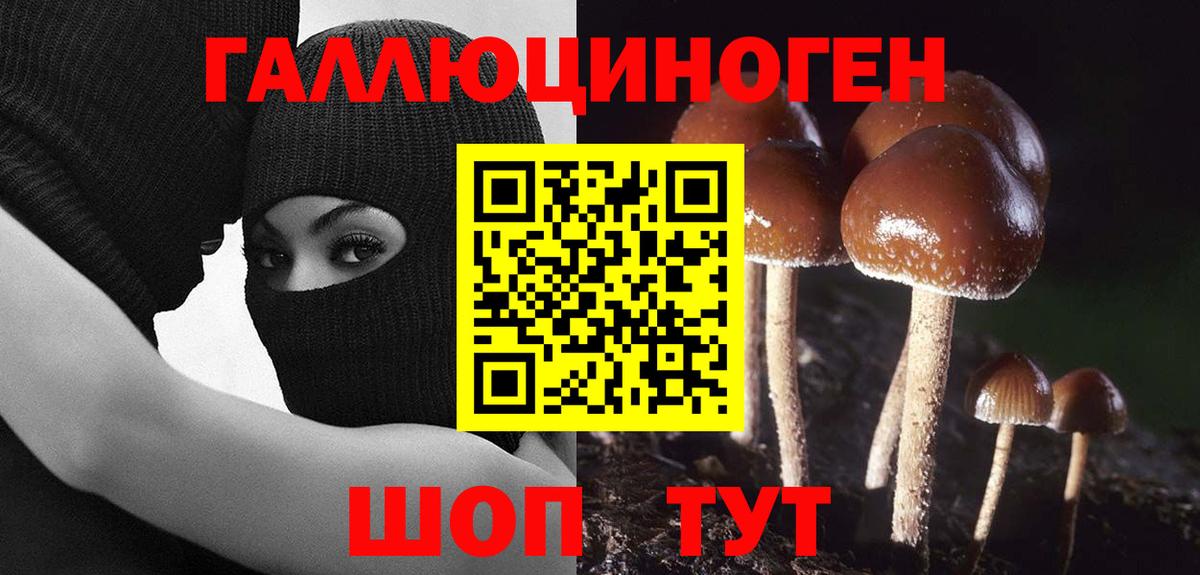 Псилоцибиновые грибы мицелий Наро-Фоминск